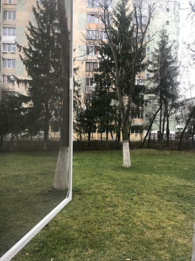 Etoile studio Braşov Eksteriør billede